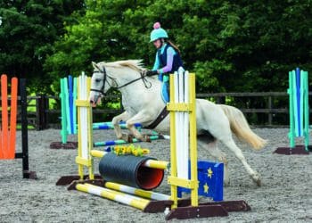 Nord Vue equestrian event is great success