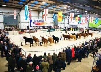 Borderway Agri-Expo cancelled for 2020