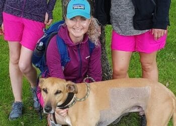 Beeb the lucky lurcher finds new home