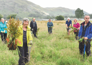 Volunteers help to restore Glenridding wildflower meadow