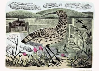 James Rebanks releases English Pastoral