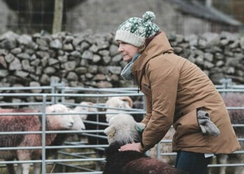 Environmental Land Management Scheme trial in Lake District