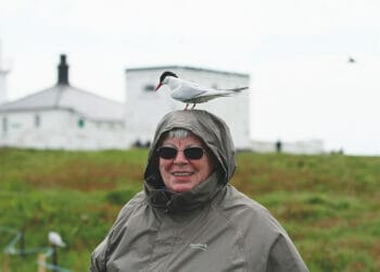 Kathleen Stourton touched lives of many through her charity work