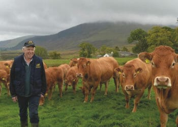 New honorary president of British Limousin Cattle Society