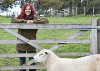 Introducing the Red Shepherdess. . .