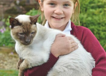 Missing cat reunites with owners after six years