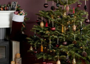 Deck the halls this Christmas