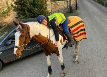 Woman says horse ‘saved her life’ following collision with car