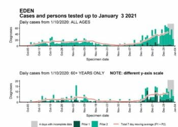 312 COVID-19 cases diagnosed in Eden from Christmas Eve