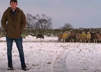 Cumbria YFC create video to support Newton Rigg