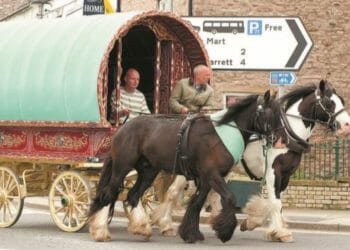 Appleby Horse Fair 2021 update