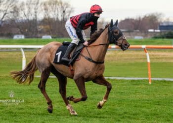 Greystoke-based jockey flying flag for northern Jump racing