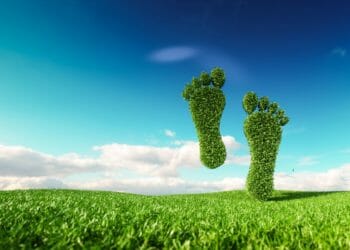 Help for businesses to reduce their carbon footprint