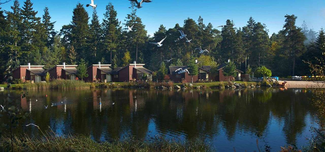 £5 billion price tag for Center Parcs - now put up for sale ...