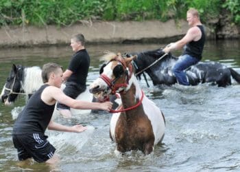 Appleby Horse Fair update