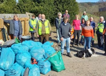 50 bags of litter collected by volunteers