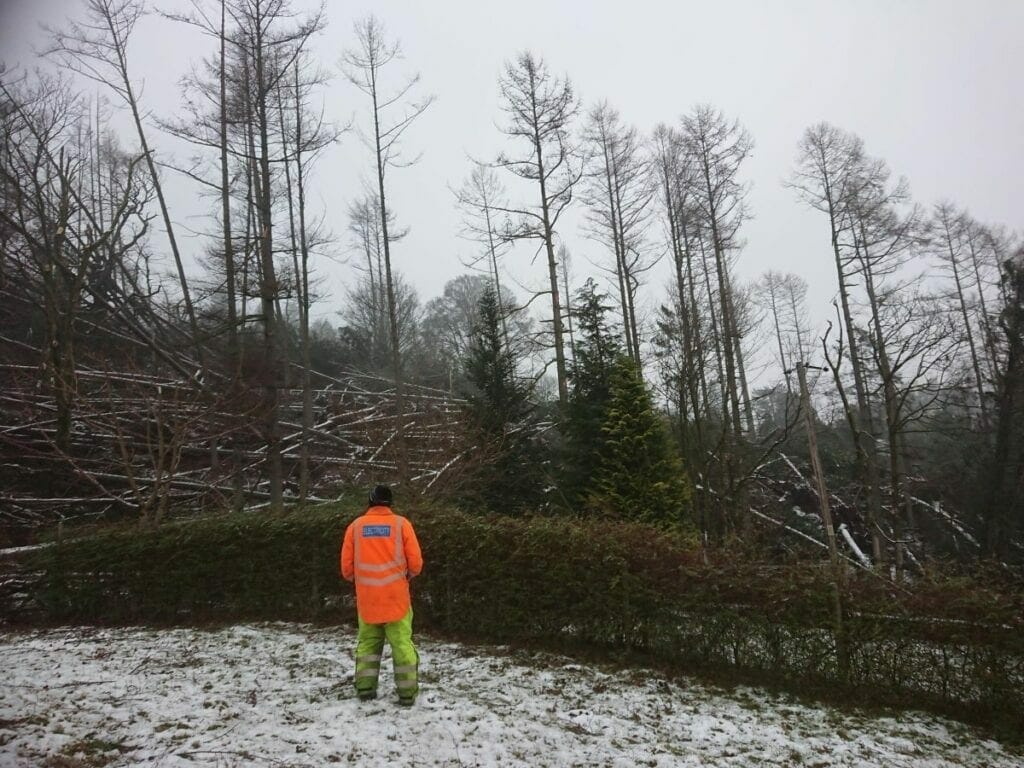 Electricity North West works to restore power in Ambleside following Storm Arwen