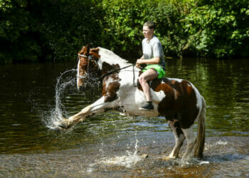 People urged not to set off too soon ahead of Appleby Horse Fair 