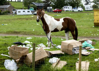 Crunch report on Appleby Horse Fair ‘barely started’ — with no chance of change this year