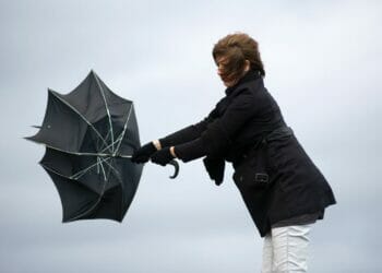 Eden set to be battered by Storm Éowyn