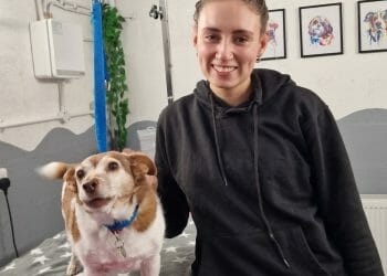 Abby Thompson turns her passion into a career