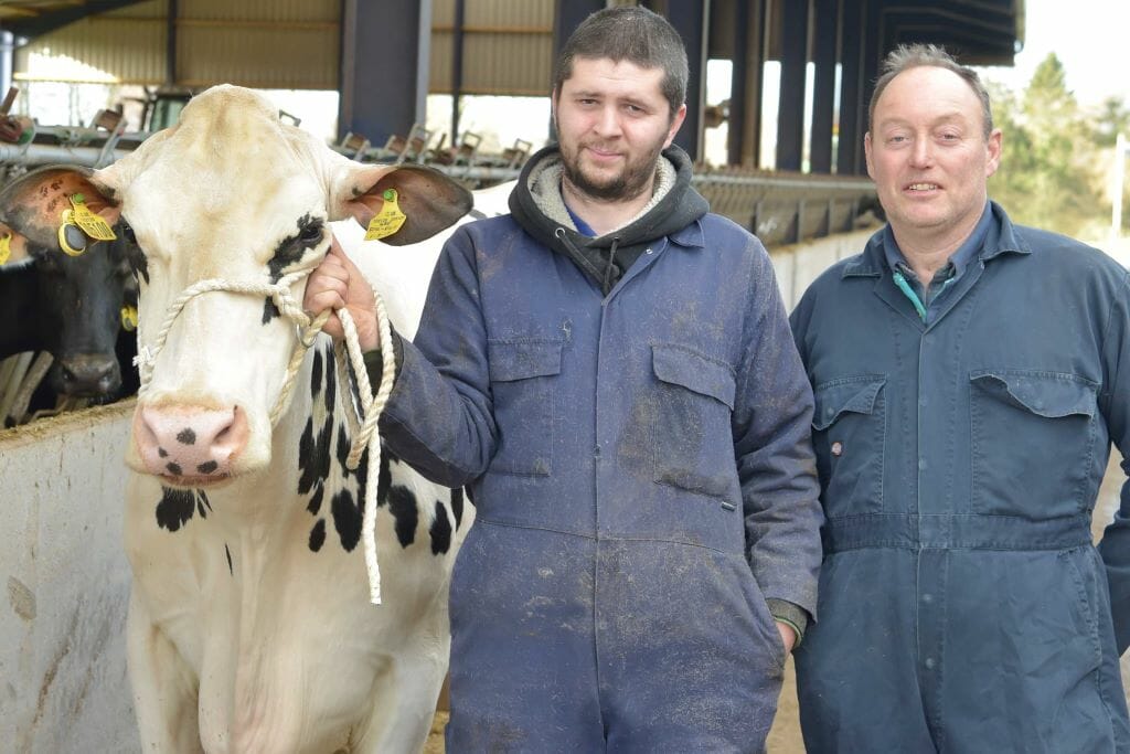 Holstein herd contest back to its winter roots Cumberland and