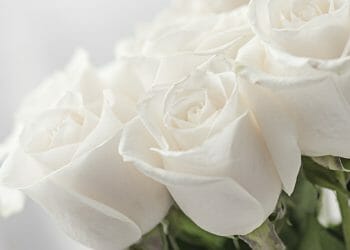 Family announcements – April 10