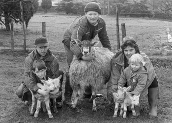 Photos from yesteryear  