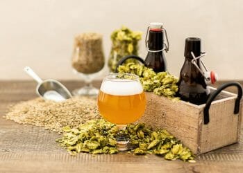 ‘The Drunken Gardener’ shares tips on growing your own tipples with Lake District club