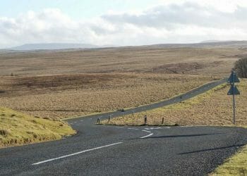 Dozens of sheep stolen by rustlers