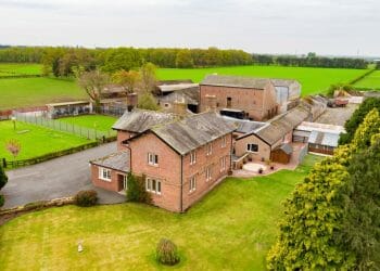 Kennels business could be yours for £1.65 million