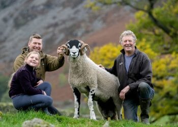 £105,000 ram smashes price barrier at Eden auction mart