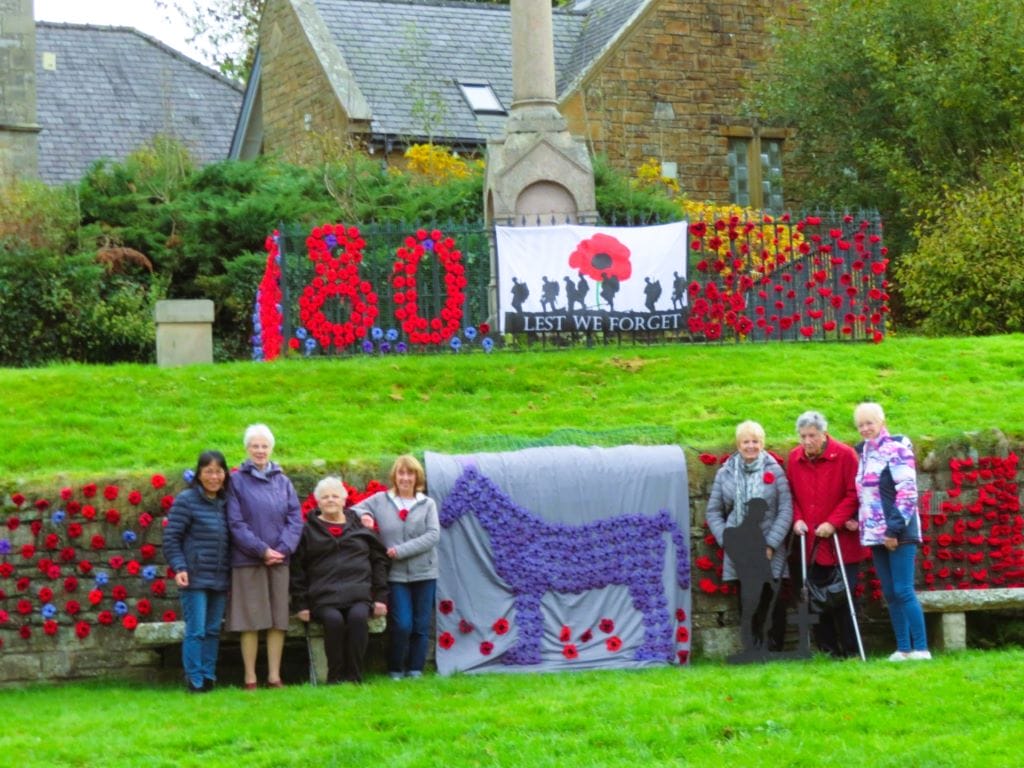 Eden village's knitted poppy display is getting bigger by the year 