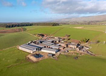 Dairy farm on market for £4.9 million