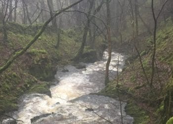 Farm’s micro hydropower scheme gets go ahead