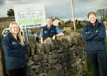 New on-farm IVF cattle service launches