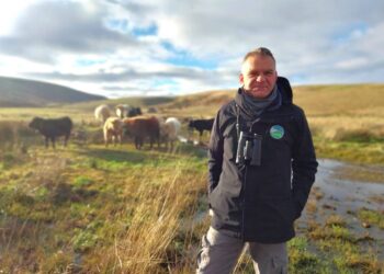‘Pennines Paradise’ plan could lay groundwork for return of golden eagles