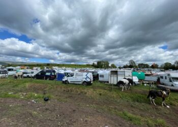 Buyer beware: Over £500,000-worth of fake products seized at last year’s Appleby Horse Fair