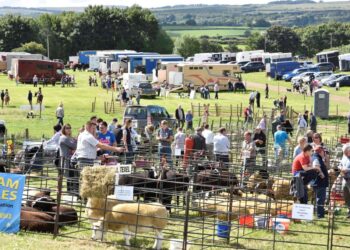 Appleby Show team rallies round as treasured event under threat