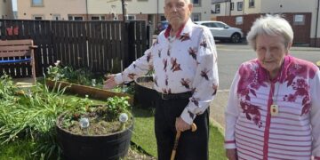 Thieves ransack treasured Penrith garden