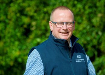 Farms focus on cashflow following SFI scheme closure
