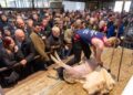 Farmers flock to North Sheep