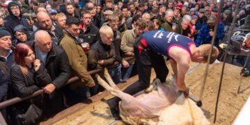 Farmers flock to North Sheep
