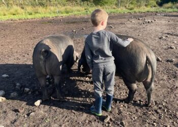 Special needs campsite set to open in Eden