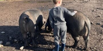 Special needs campsite set to open in Eden